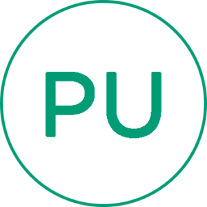 Polyurethane Icon
