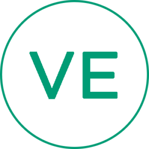 Vynilester Icon